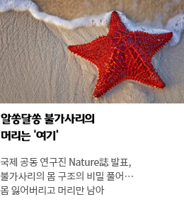 사이언스타임즈