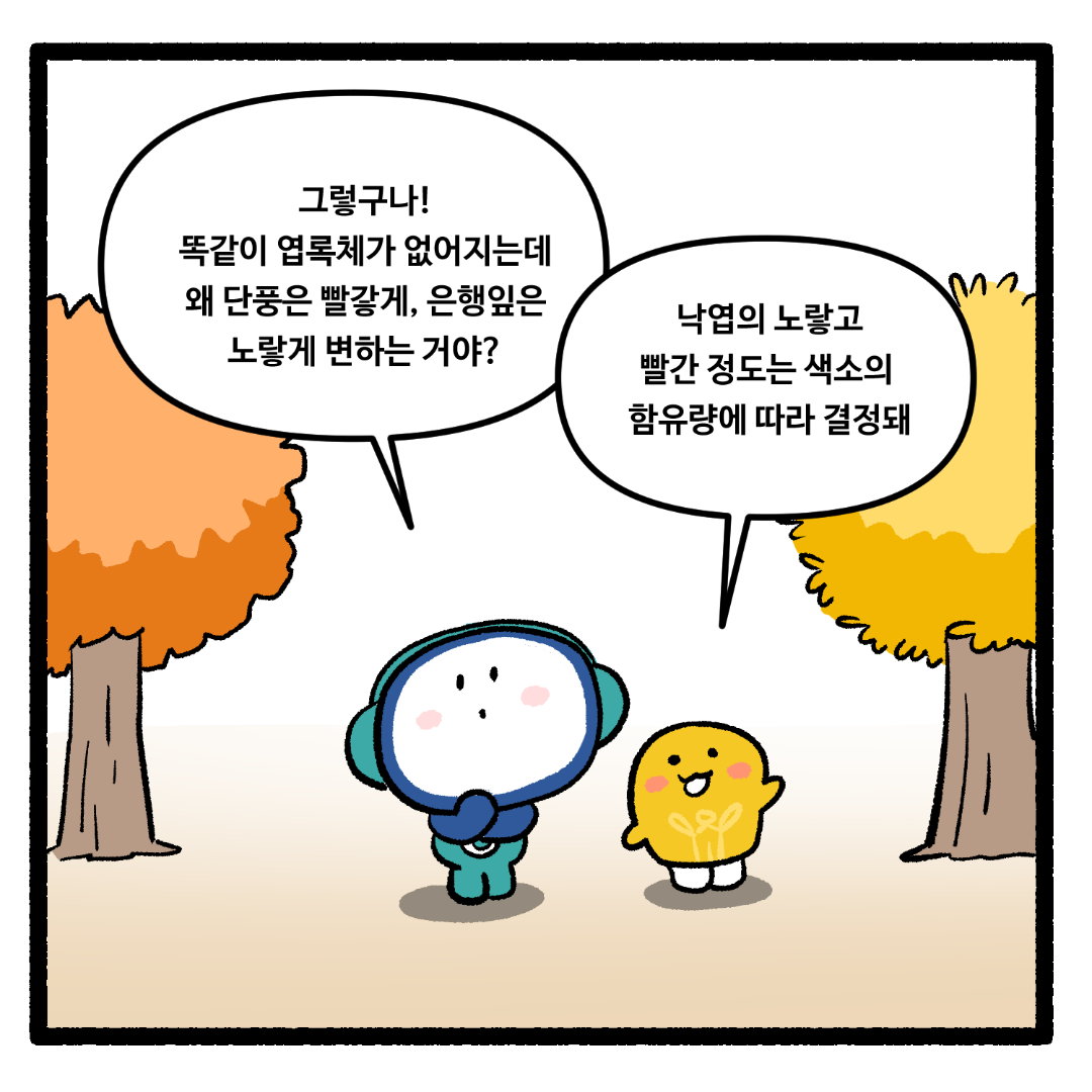 추가 예정