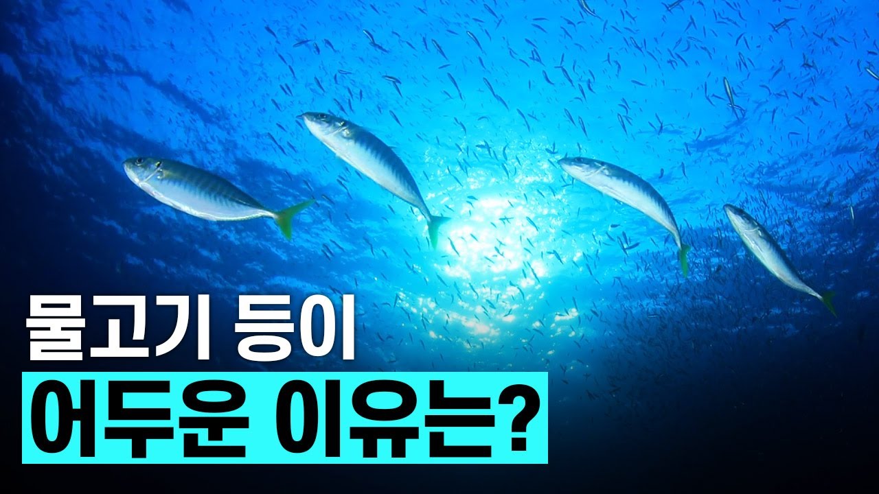 [핫클립] 카운터 셰이딩이란