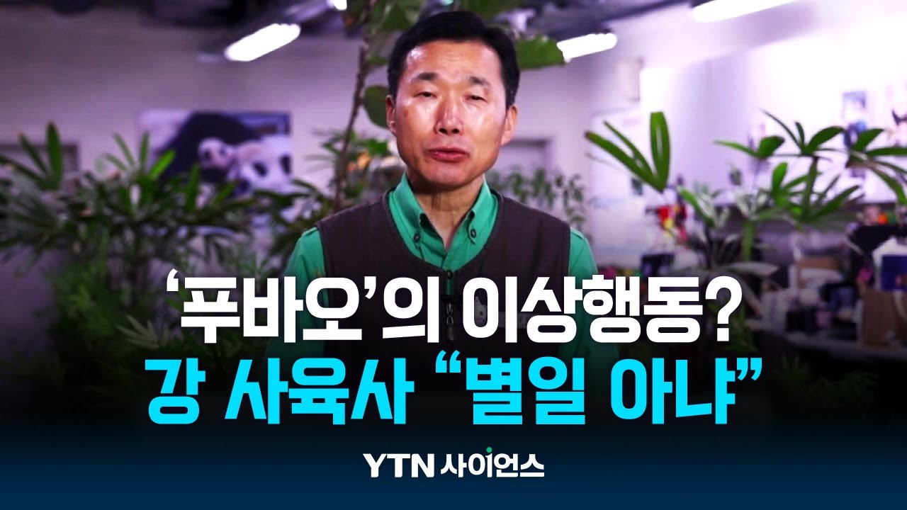 푸바오의 이상행동?...'할부지' 강철원 사육사 