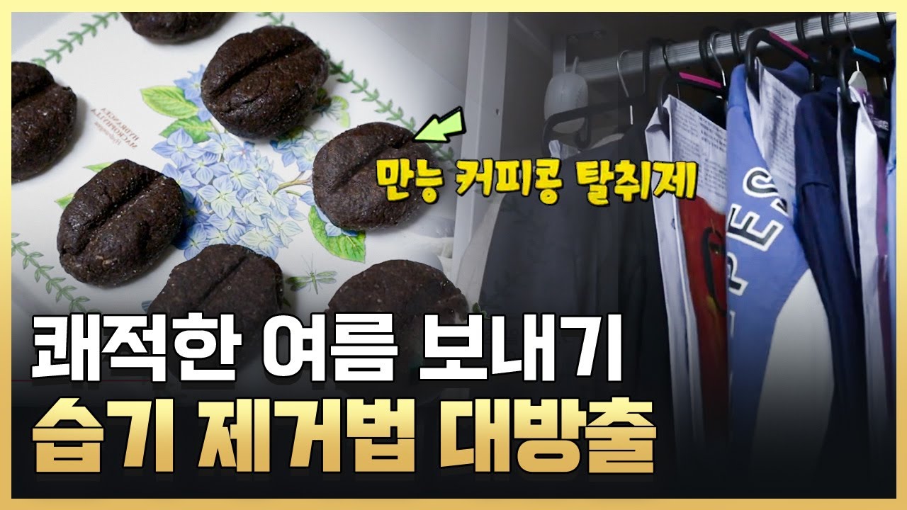 [황금나침반] 신문지와 커피 찌꺼기로 장마철 습기 걱정 해결! 상쾌한 여름 보내는 법