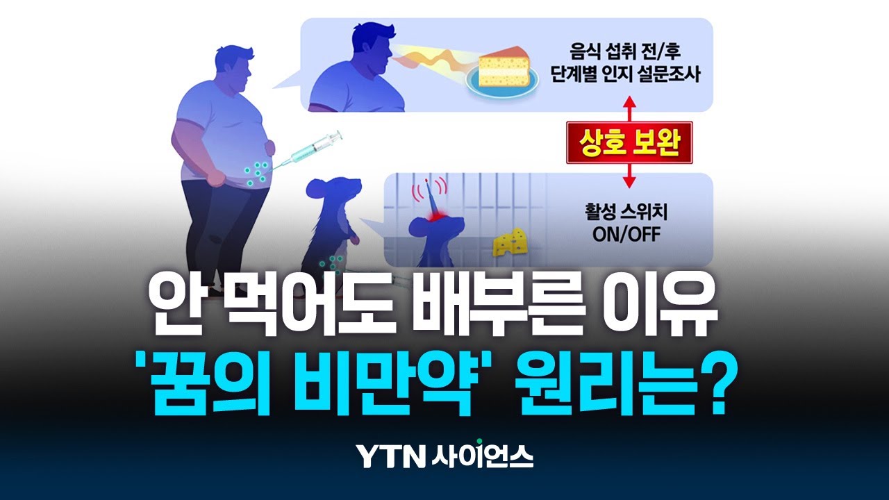 안 먹어도 배부른 이유...중개연구로 비만약 원리 풀다