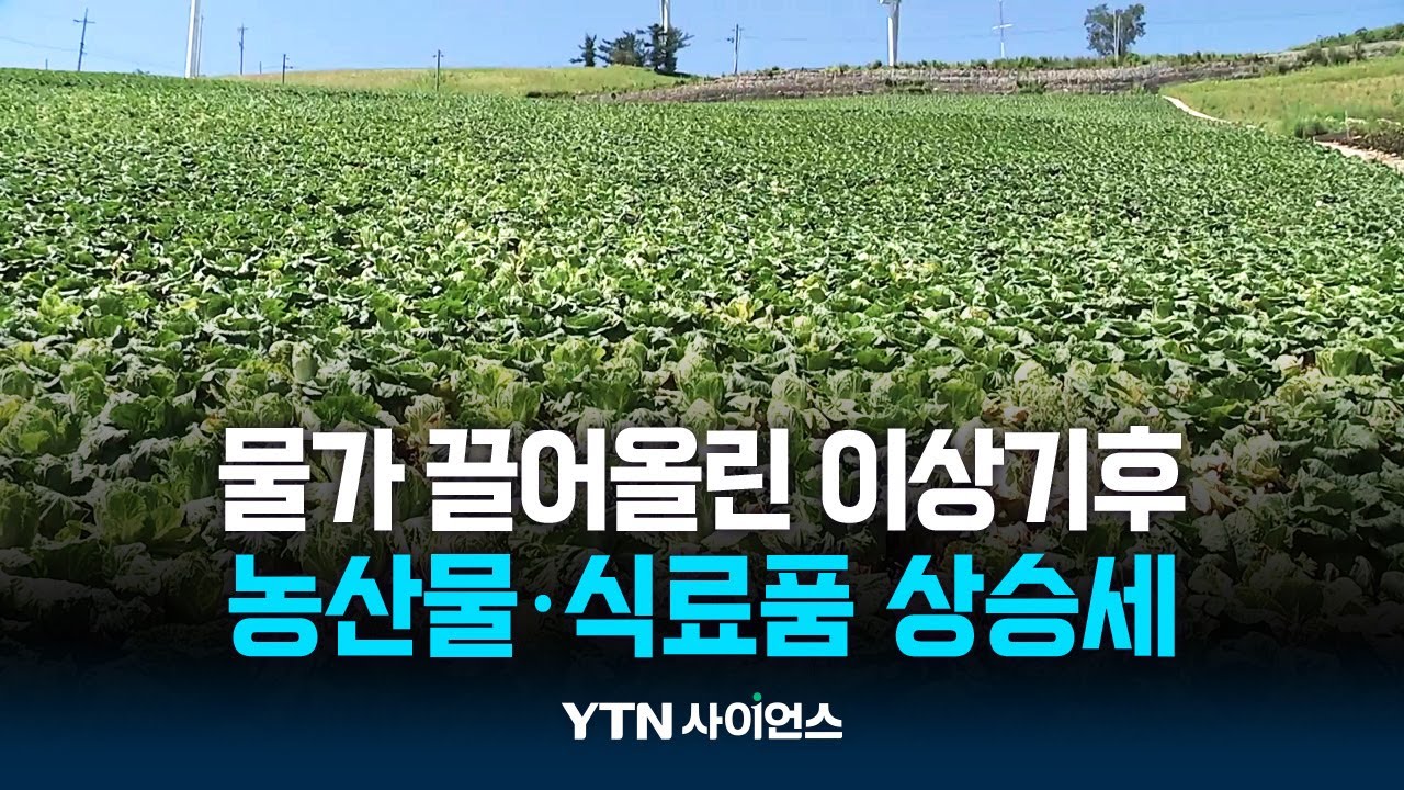 물가 10% 끌어올린 이상기후...앞으로가 더 문제!