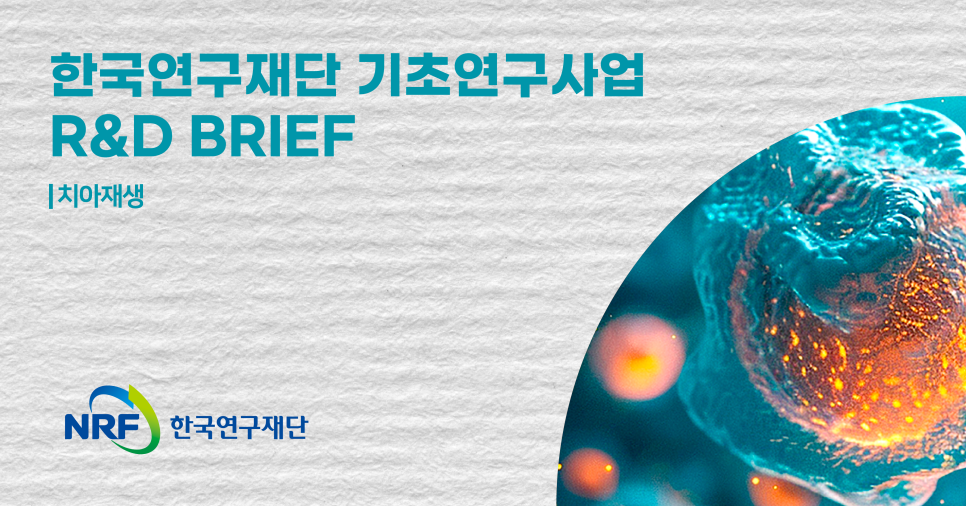 [NRF R&D BRIEF] 치아재생