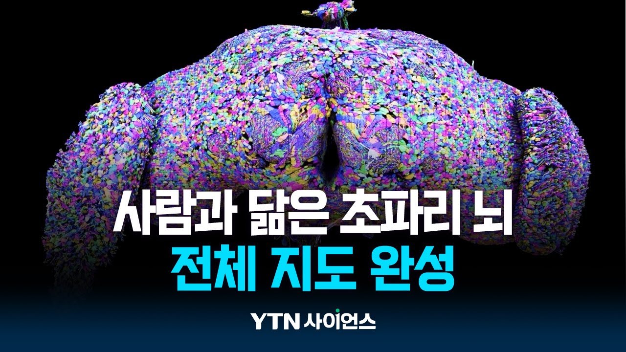 사람과 닮은 초파리 뇌, 전체 지도 완성했다