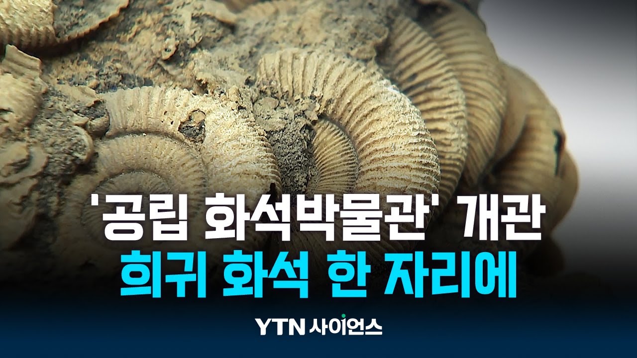 공룡 알·삼엽충 직접 본다...첫 '공립 화석박물관' 대구 달성에 개관