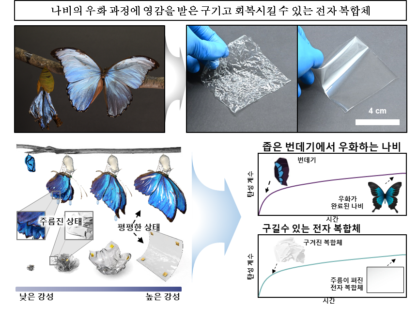 나비의 우화 과정에서 영감을 받아 제작된 전자 장치