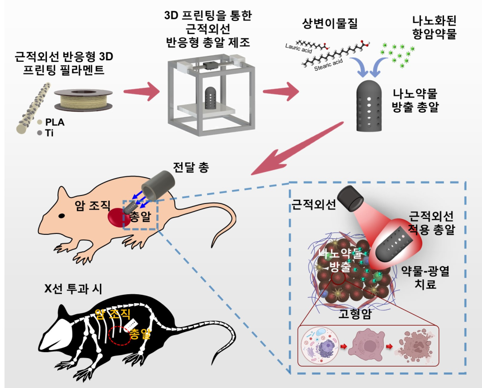 나노약물