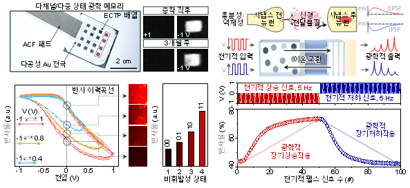 소자