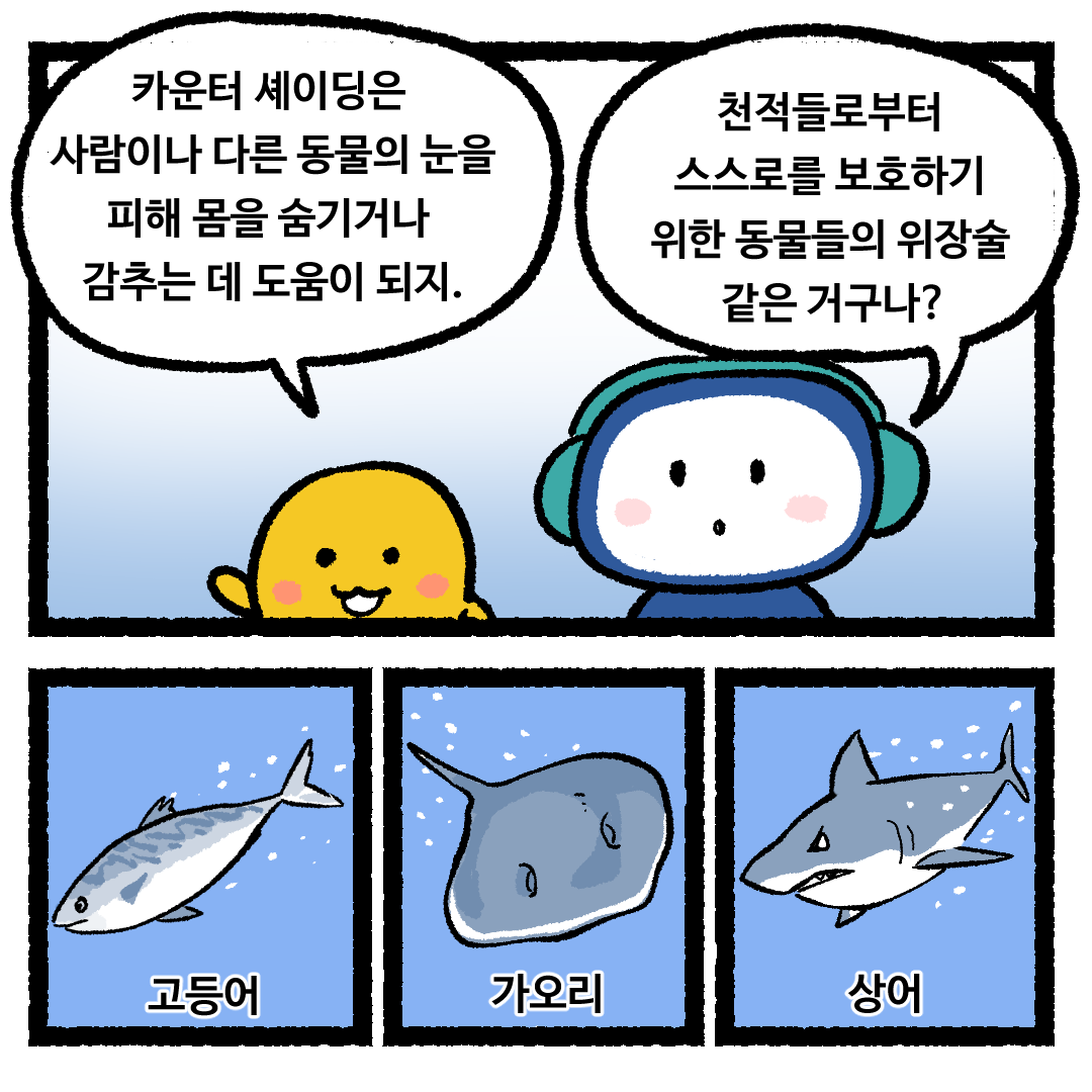 5장