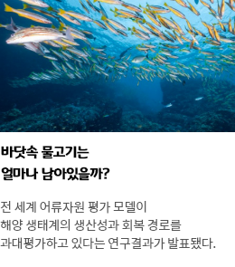 사이언스타임즈