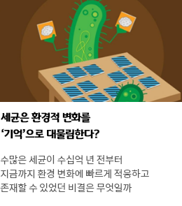 사이언스타임즈