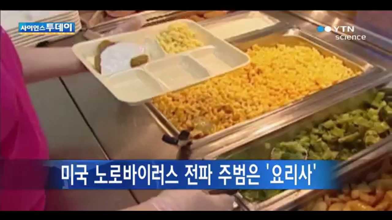 美 노로바이러스 전파 주범은 '요리사'