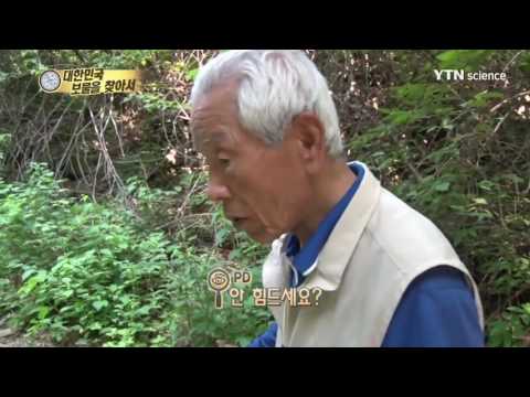 [사이언스 TV] 황금나침반-  대한민국 보물을 찾아서