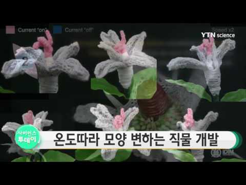 [사이언스 TV] 온도따라 모양 변하는 직물 개발