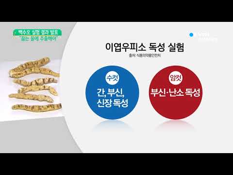 [사이언스 TV] 식약처 백수오, 끓는 물에 추출해야 안전...분말 피해야