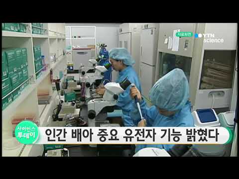 [사이언스 TV] 인간 배아 중요 유전자 기능 밝혔다