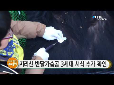 [사이언스 TV] 지리산 반달가슴곰 3세대 서식 추가 확인