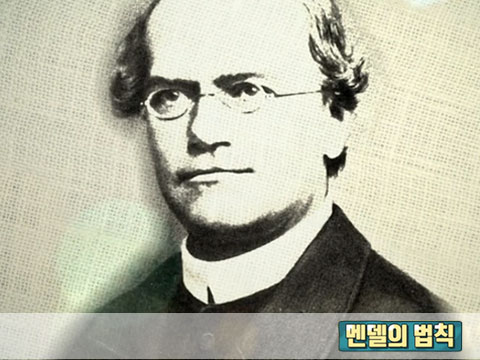 아는 몸, 모르는 몸, 이상한 몸