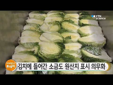 [사이언스TV] 김치에 들어간 소금도 원산지 표시 의무화