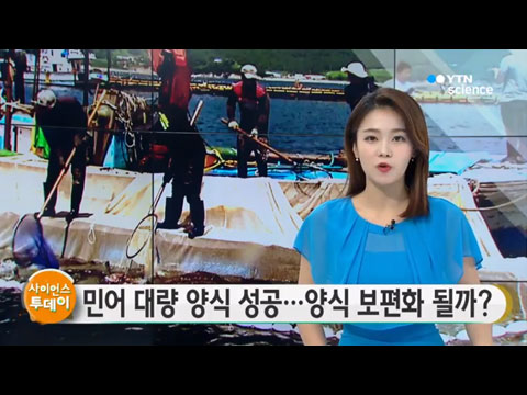 [사이언스TV] 민어 대량 양식 성공 양식 보편화 될까