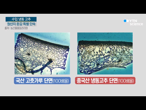 [사이언스TV] 수입 냉동 고추 원산지 둔갑 이제 꼼작마!