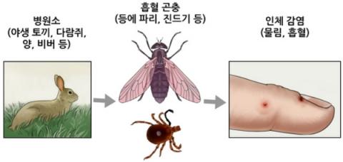 [사이언스타임즈] 신속 정확한 유해균 검사법 개발