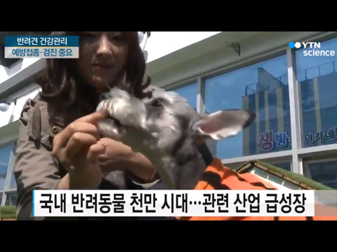 [사이언스TV] 반려견도 건강검진이 중요