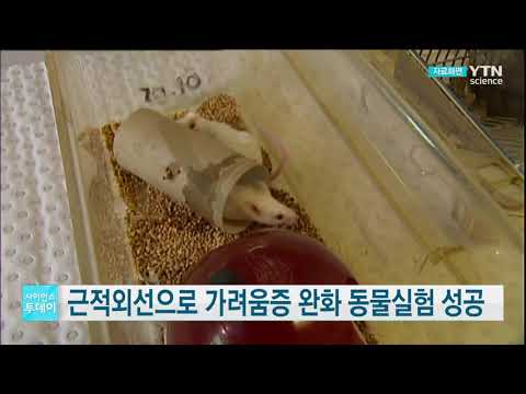 [사이언스TV] 근적외선으로 가려움증 완화 동물실험 성공