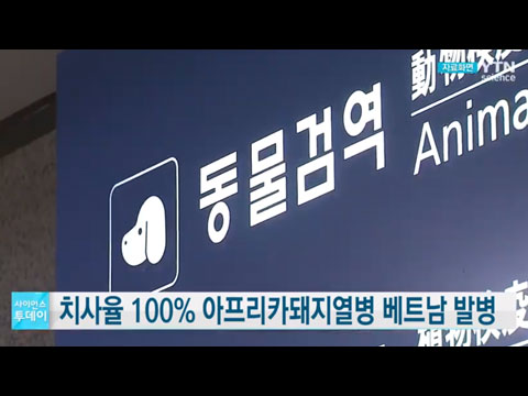 [사이언스TV] 치사율 100% 아프리카돼지열병 베트남서도 발병 검역당국 긴장