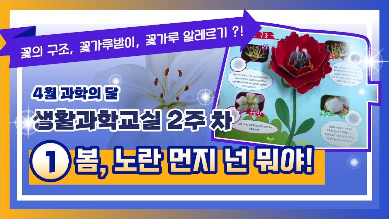 꽃의 구조, 꽃가루받이, 꽃가루 알레르기?! 4월과학의달 생활과학교실 2주차 ①봄,노란 먼지 넌 뭐야!