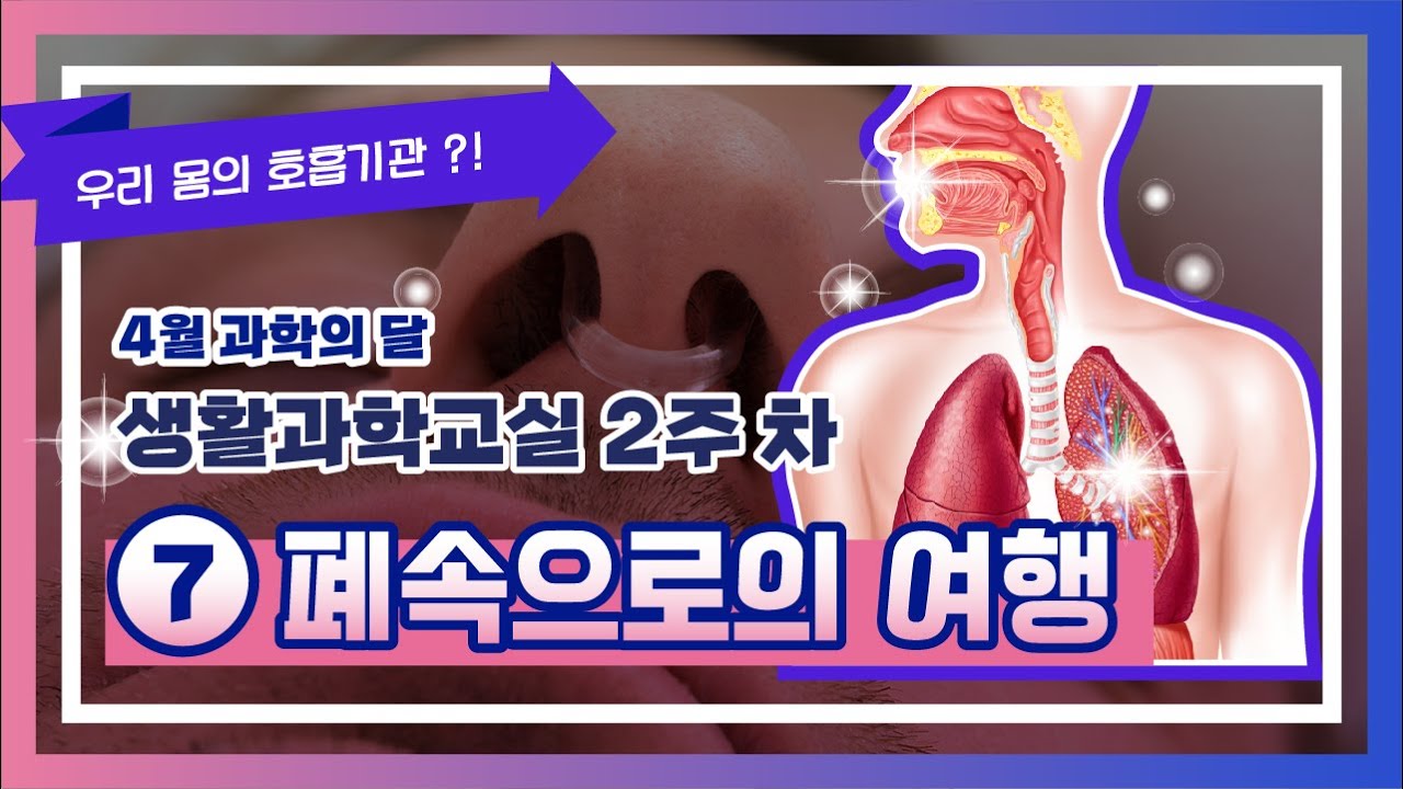 우리 몸의 호흡기관?! 4월과학의달 생활과학교실 2주차 ⑦폐속으로의 여행