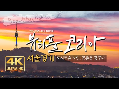 서울경기_도시로온 자연, 공존을 꿈꾸다 [4K UHD버전 뷰티풀 코리아.4부]