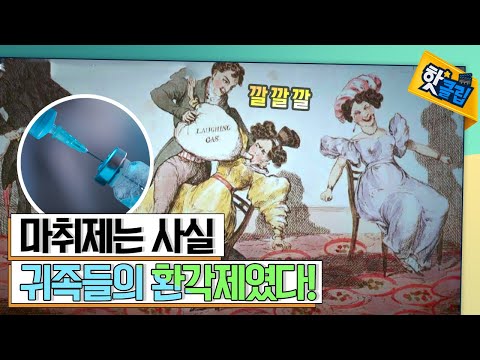 귀족들의 파티용 환각제였던 마취제 [#핫클립]