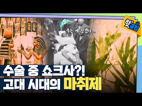 통증 완화제로 쓰였던 아편과 대마초? [#핫클립]