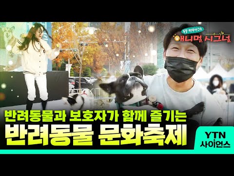 [애니멀 시그널] 반려동물과 보호자가 함께하는 반려동물 문화축제