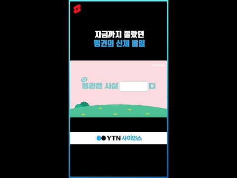 지금까지 몰랐던 펭귄의 신체 비밀 #shorts