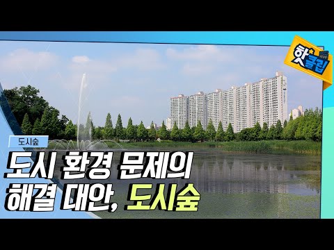 [핫클립] 도시 환경 문제에 대응하는 도시숲