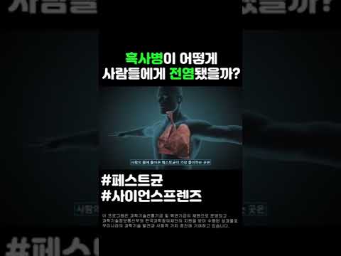 흑사병이 어떻게 사람들에게 전염됐을까? #shorts