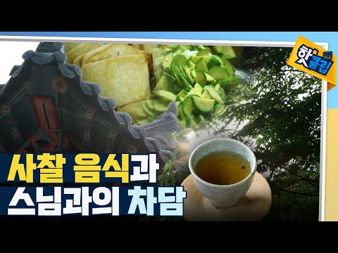 [핫클립] 건강하고 맛있는 템플스테이 공양