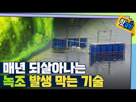 [핫클립] 녹조현상을 막기 위한 특별한 기술