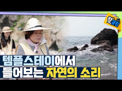 [핫클립] 스트레스를 낮추는 자연의 소리