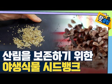 [핫클립] 야생식물 종자 시드뱅크