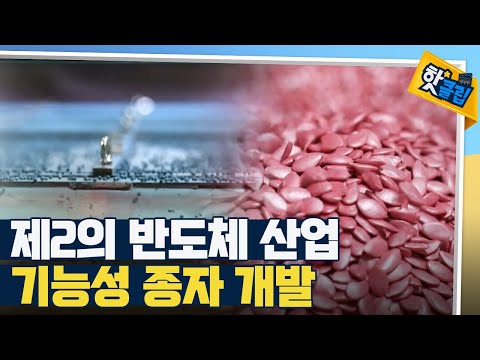 [핫클립] 연구로 탄생하는 기능성 종자