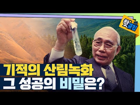 [핫클립] 한국의 산림을 다시 울창하게!