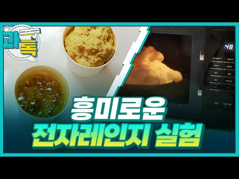 [과톡] 전자레인지로 하는 과학 실험 & 이번 주 과학계 핫이슈