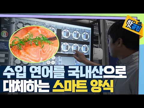 [핫클립] 수입산 연어를 국내산으로 양식하는 방법