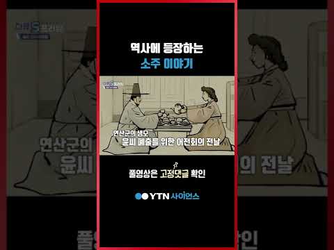 역사에 등장하는 소주 이야기 #shorts