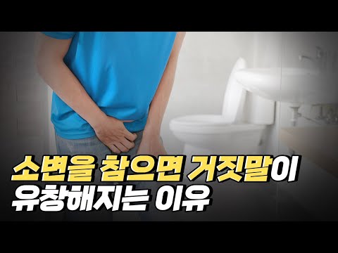 [핫클립] 소변을 참으면 거짓말을 잘한다?