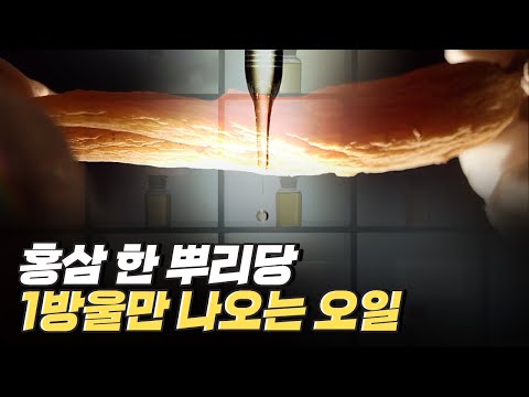 [핫클립] 홍삼을 다양한 제품으로 제작하는 기업